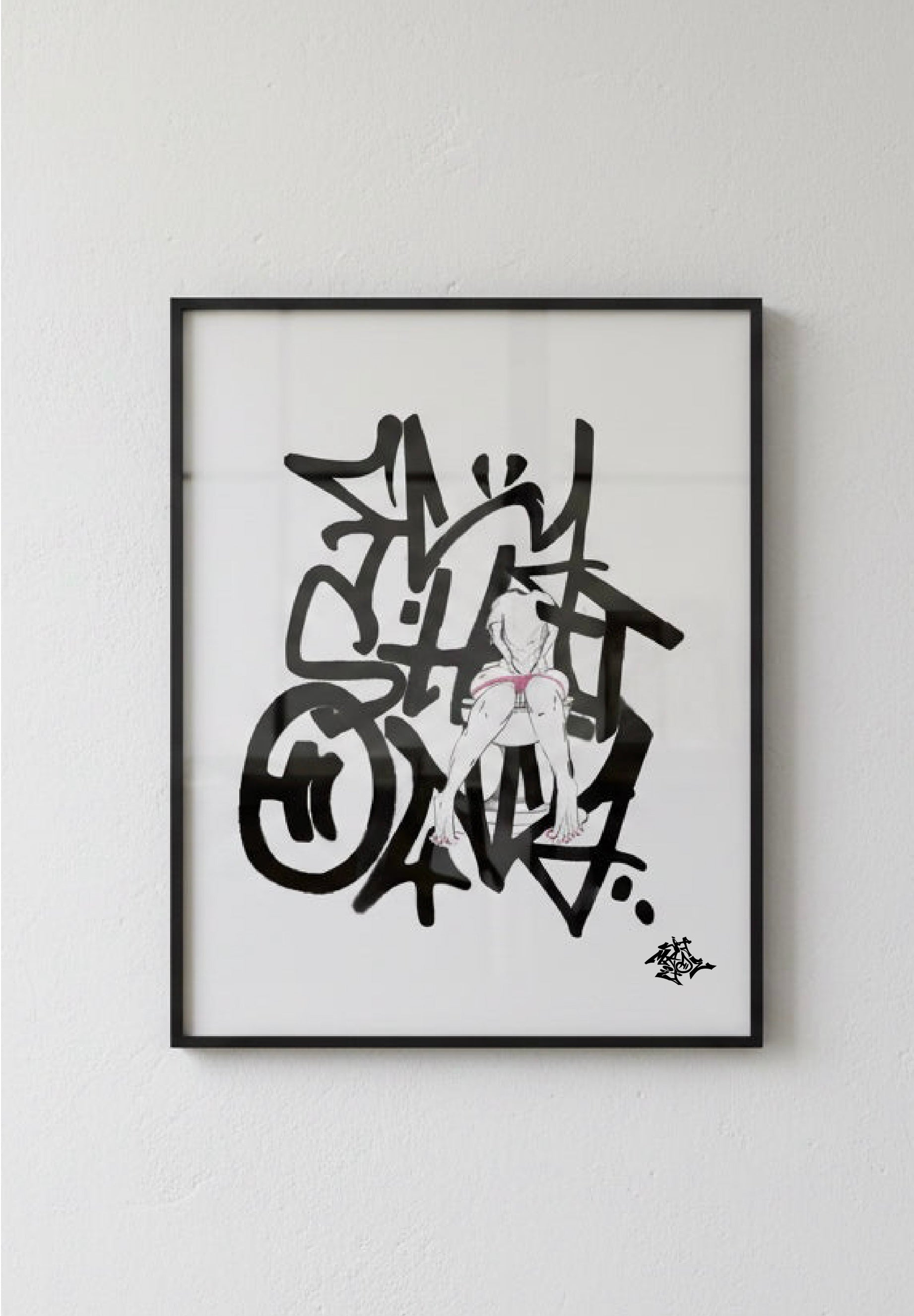 Fly Shit Only (Bathroom Art)